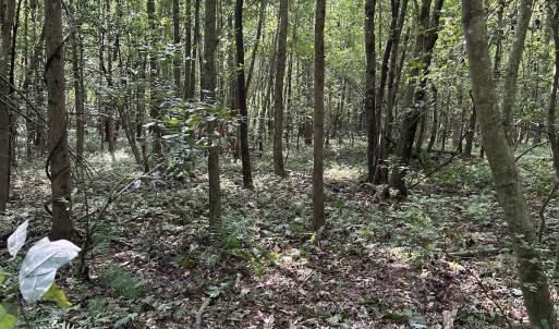 Photo #20 of SOLD property in Off Hwy 50, Rose Hill, NC 8.5 acres