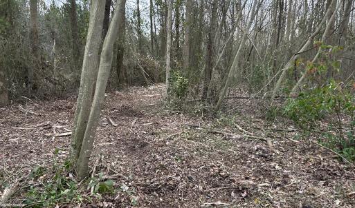 Photo #22 of SOLD property in Off Hwy 50, Rose Hill, NC 8.5 acres
