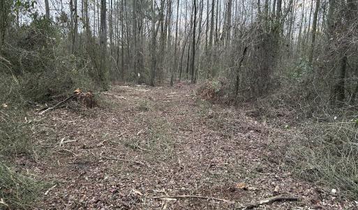 Photo #23 of SOLD property in Off Hwy 50, Rose Hill, NC 8.5 acres