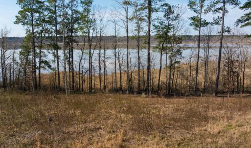 Photo #4 of Off Old Gaston Extended, Gaston, NC 4.5 acres