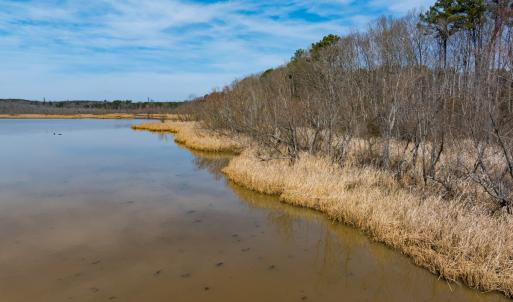 Photo #11 of Off Old Gaston Extended, Gaston, NC 4.5 acres