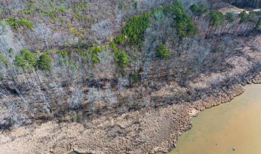 Photo #13 of Off Old Gaston Extended, Gaston, NC 4.5 acres