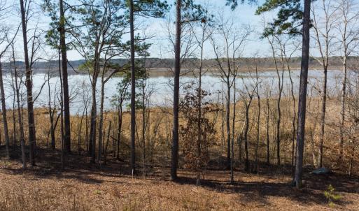 Photo #23 of Off Old Gaston Extended, Gaston, NC 4.5 acres