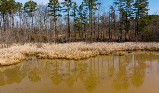 Photo #35 of Off Old Gaston Extended, Gaston, NC 4.5 acres