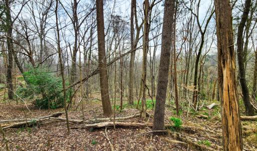 Photo #17 of Off Ebert Rd, Winston Salem, NC 8.8 acres