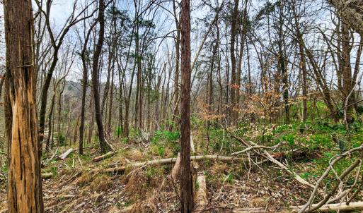 Photo #18 of Off Ebert Rd, Winston Salem, NC 8.8 acres