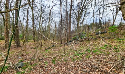 Photo #25 of Off Ebert Rd, Winston Salem, NC 8.8 acres