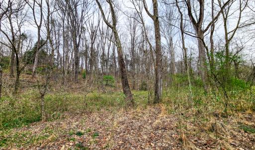 Photo #27 of Off Ebert Rd, Winston Salem, NC 8.8 acres