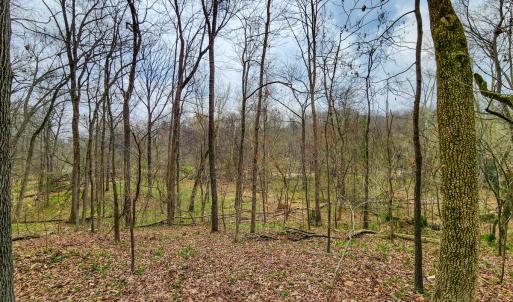 Photo #39 of Off Ebert Rd, Winston Salem, NC 8.8 acres