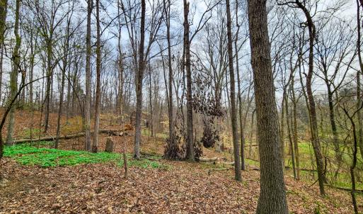 Photo #40 of Off Ebert Rd, Winston Salem, NC 8.8 acres