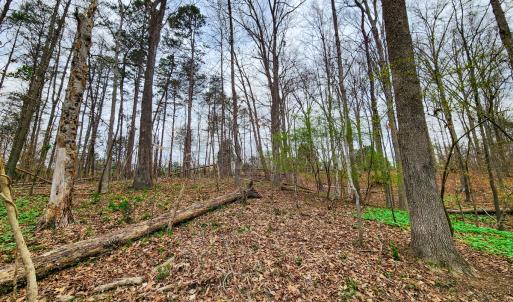 Photo #41 of Off Ebert Rd, Winston Salem, NC 8.8 acres