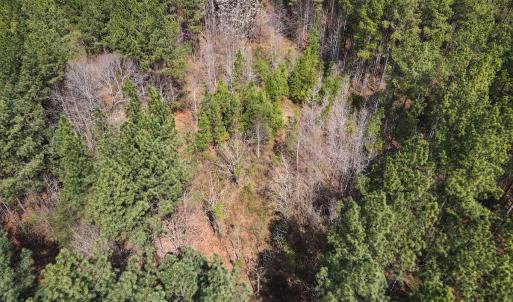 Photo #11 of SOLD property in Off Clinton Rd, Nathalie, VA 21.3 acres