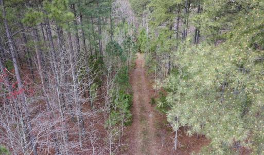 Photo #12 of SOLD property in Off Clinton Rd, Nathalie, VA 21.3 acres
