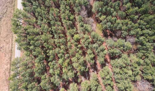Photo #13 of SOLD property in Off Clinton Rd, Nathalie, VA 21.3 acres