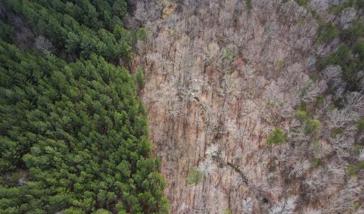 Photo #14 of SOLD property in Off Clinton Rd, Nathalie, VA 21.3 acres