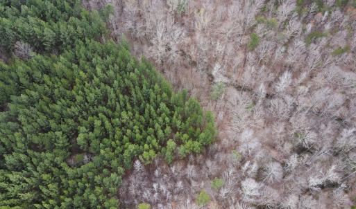Photo #15 of SOLD property in Off Clinton Rd, Nathalie, VA 21.3 acres