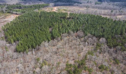 Photo #19 of SOLD property in Off Clinton Rd, Nathalie, VA 21.3 acres