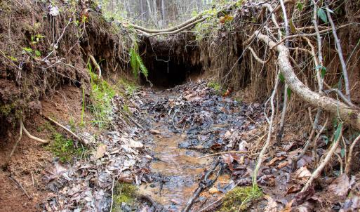 Photo #21 of SOLD property in Off Clinton Rd, Nathalie, VA 21.3 acres