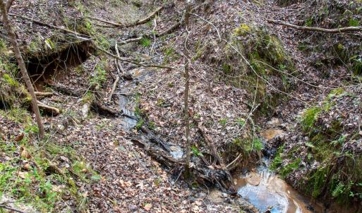 Photo #22 of SOLD property in Off Clinton Rd, Nathalie, VA 21.3 acres