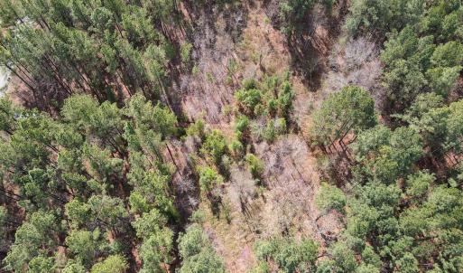 Photo #23 of SOLD property in Off Clinton Rd, Nathalie, VA 21.3 acres