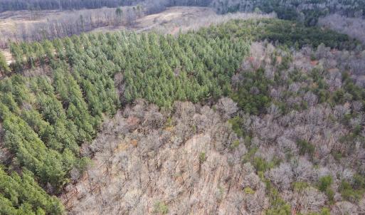 Photo #30 of SOLD property in Off Clinton Rd, Nathalie, VA 21.3 acres