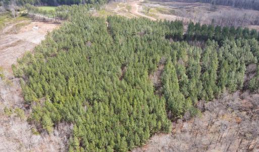 Photo #31 of SOLD property in Off Clinton Rd, Nathalie, VA 21.3 acres