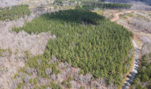 Photo #32 of SOLD property in Off Clinton Rd, Nathalie, VA 21.3 acres