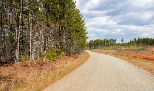 Photo #4 of SOLD property in Off Clinton Rd, Nathalie, VA 21.3 acres