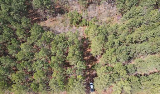 Photo #5 of SOLD property in Off Clinton Rd, Nathalie, VA 21.3 acres