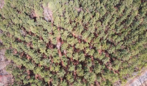Photo #8 of SOLD property in Off Clinton Rd, Nathalie, VA 21.3 acres