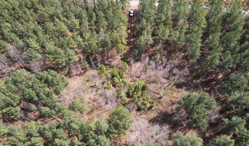Photo #9 of SOLD property in Off Clinton Rd, Nathalie, VA 21.3 acres