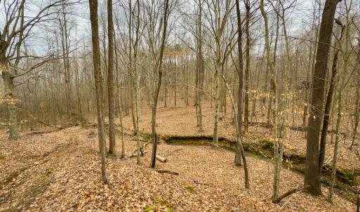 Photo #4 of SOLD property in Off Rice Road, Reidsville, NC 40.0 acres