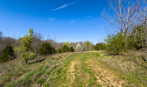 Photo #5 of SOLD property in Off Rice Road, Reidsville, NC 40.0 acres