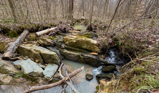 Photo #6 of SOLD property in Off Rice Road, Reidsville, NC 40.0 acres
