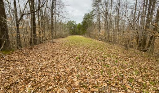 Photo #10 of SOLD property in Off Rice Road, Reidsville, NC 40.0 acres