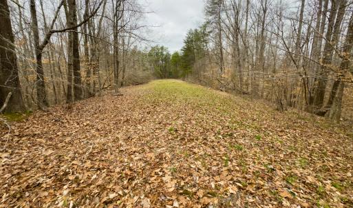 Photo #10 of Off Rice Road, Reidsville, NC 40.0 acres