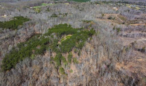 Photo #11 of SOLD property in Off Rice Road, Reidsville, NC 40.0 acres
