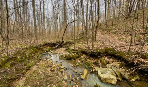 Photo #16 of SOLD property in Off Rice Road, Reidsville, NC 40.0 acres