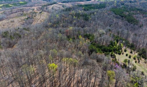 Photo #17 of SOLD property in Off Rice Road, Reidsville, NC 40.0 acres