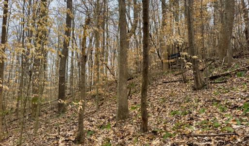 Photo #19 of SOLD property in Off Rice Road, Reidsville, NC 40.0 acres