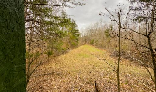 Photo #20 of SOLD property in Off Rice Road, Reidsville, NC 40.0 acres