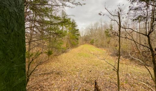Photo #20 of Off Rice Road, Reidsville, NC 40.0 acres