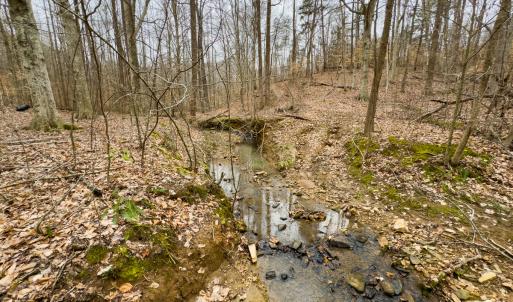 Photo #24 of SOLD property in Off Rice Road, Reidsville, NC 40.0 acres