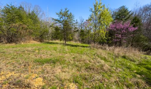 Photo #29 of Off Rice Road, Reidsville, NC 40.0 acres