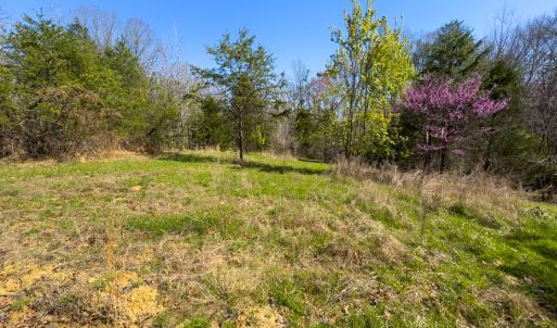 Photo #29 of SOLD property in Off Rice Road, Reidsville, NC 40.0 acres
