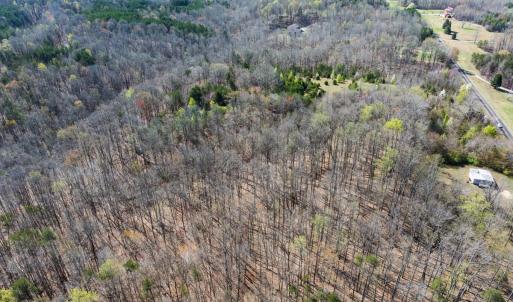 Photo #30 of SOLD property in Off Rice Road, Reidsville, NC 40.0 acres