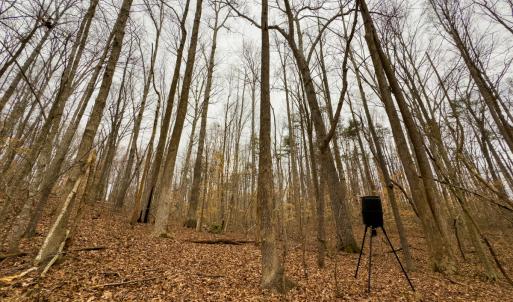 Photo #31 of SOLD property in Off Rice Road, Reidsville, NC 40.0 acres