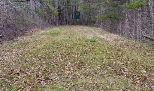 Photo #32 of SOLD property in Off Rice Road, Reidsville, NC 40.0 acres