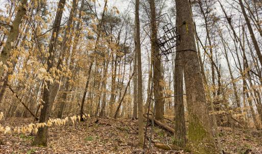 Photo #34 of SOLD property in Off Rice Road, Reidsville, NC 40.0 acres