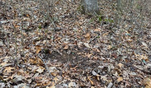 Photo #35 of SOLD property in Off Rice Road, Reidsville, NC 40.0 acres